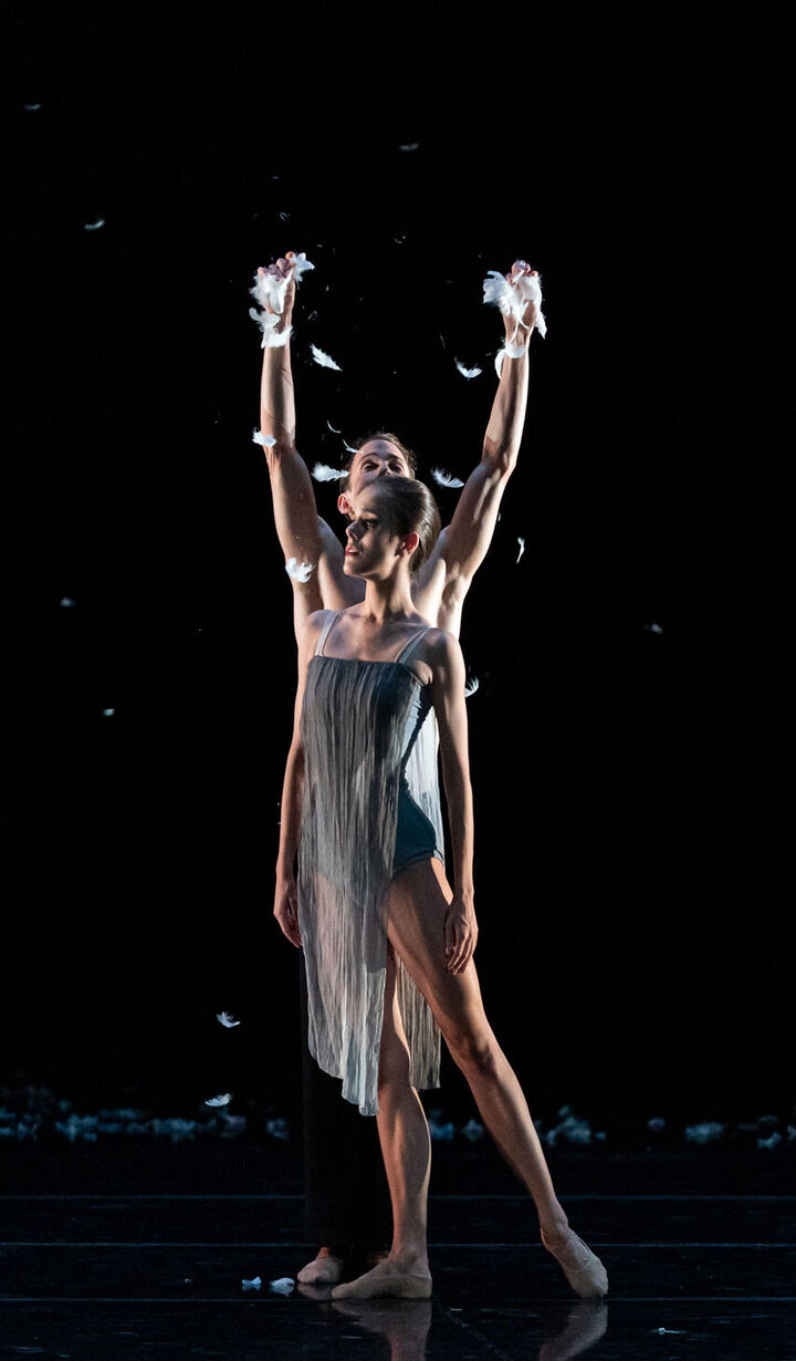 Murmaration. Juliana Ondrášiková, Jean-Michel Reuter.